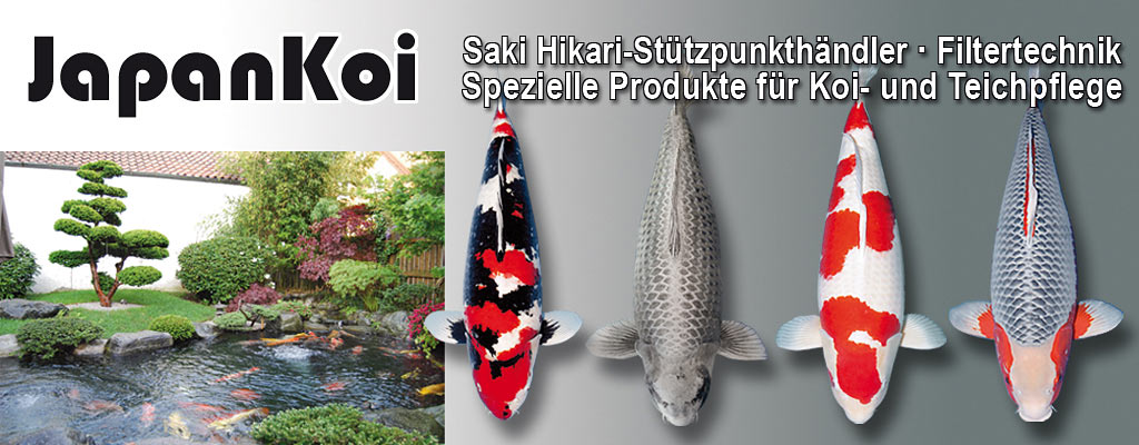 Koihandel mit Japan Koi