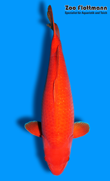 _ild3222_g