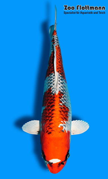 _ild3224_g