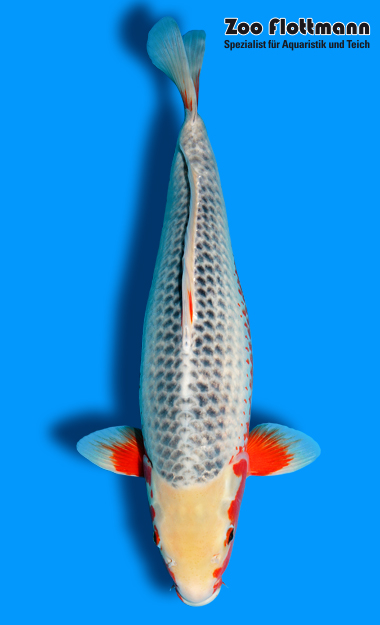 _ild3260_g